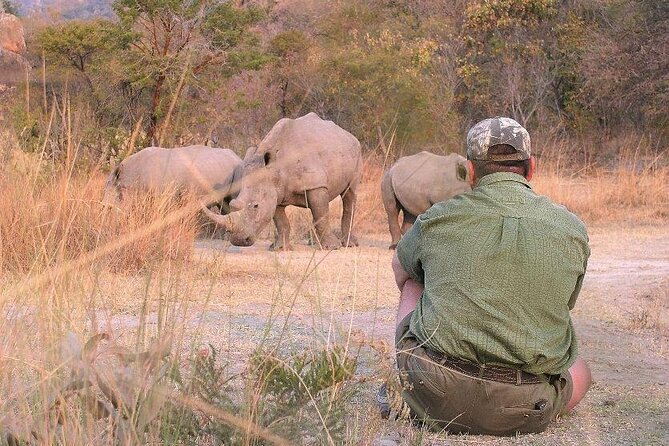 11-Day African Big 5 with Gorilla Trekking Safari in Uganda. - Day 1: A simple arrival in Entebbe