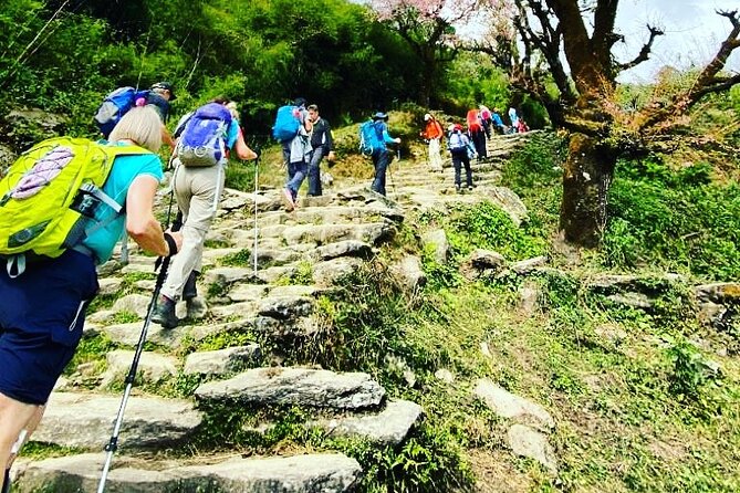 11-Day Hike Tour to Annapurna Base Camp Bliss in Kathmandu - What the 11-day Annapurna route is really like