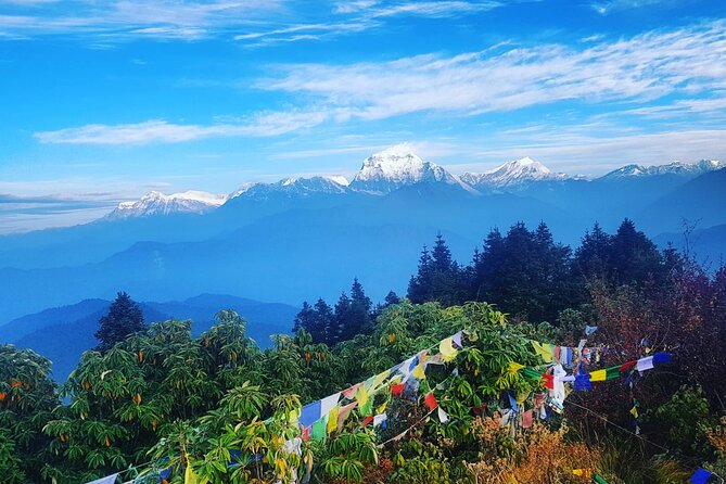 11-Day Hike Tour to Annapurna Base Camp Bliss in Kathmandu - Day 3: Ulleri’s 3,300 steps and Ghorepani