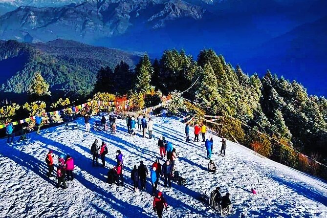 11-Day Hike Tour to Annapurna Base Camp Bliss in Kathmandu - Day 4: Poon Hill sunrise, then through rhododendron forest