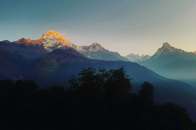 11-Day Hike Tour to Annapurna Base Camp Bliss in Kathmandu - Day 5: Tadapani, Chhomrong, and Sinuwa