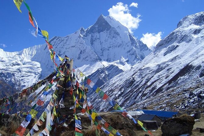 11-Day Hike Tour to Annapurna Base Camp Bliss in Kathmandu - Day 6: Bamboo, the Modi Khola, and Deurali