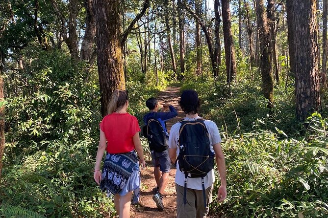 11km Scred Mountain Hike - Key points to know before booking