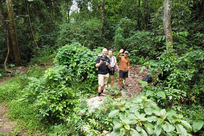11km Scred Mountain Hike - The quiet rewards of the forest trail
