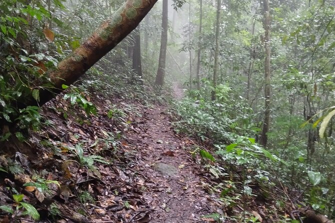 11km Scred Mountain Hike - Pickup, timing, and group size