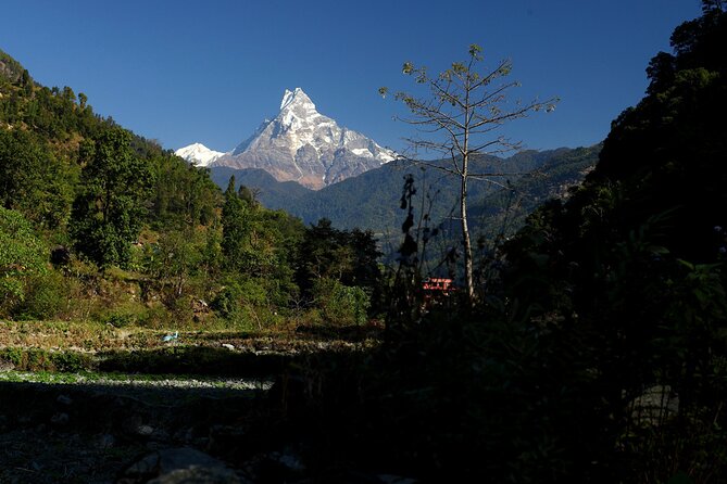 12-Day Nepal Adventure Trek with Jungle Safari - The river road to Pokhara