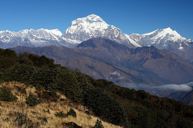 12-Day Nepal Adventure Trek with Jungle Safari - What the trek demands from you