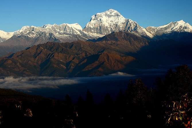 12-Day Nepal Adventure Trek with Jungle Safari - From Pokhara to Chitwan