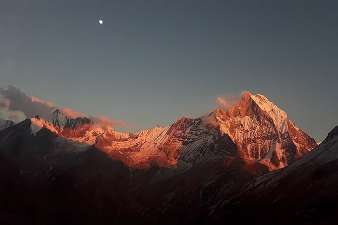 12 days A Perfect hiking tour to Annapurna Base Camp via Ghorepani and Poon Hill - Tadapani to Chhomrong: a change in village culture