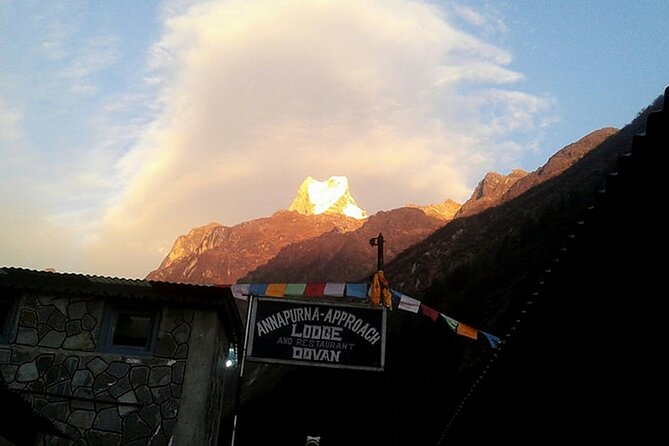 12 days A Perfect hiking tour to Annapurna Base Camp via Ghorepani and Poon Hill - Bamboo forest and Deurali: the serious altitude begins