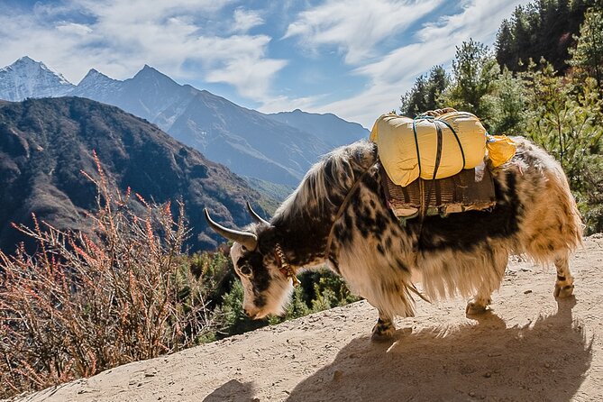 13-Day Private Trekking Experience in Everest Base Camp - Lobuche and the memorial ridge
