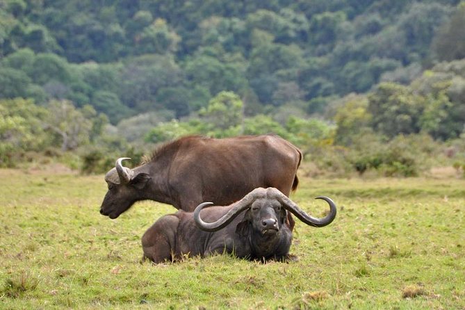 13 Days Adventure in Tanzania - Trekking and Wildlife Safari - Why this Tanzania combination works