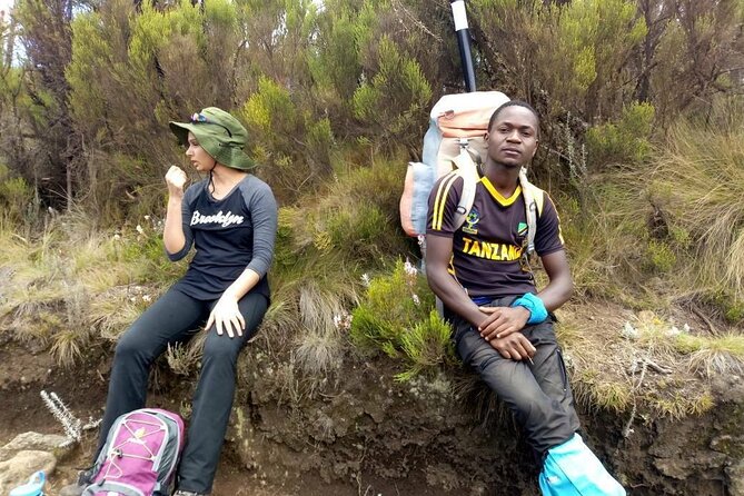 13 Days Adventure in Tanzania - Trekking and Wildlife Safari - Tarangire and its large elephant herds