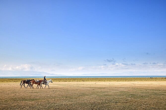 14 Day Epic Kyrgyzstan Trek in Tian Shan and Pamir Alay Mountains - Two mountain ranges, one ambitious Kyrgyzstan route