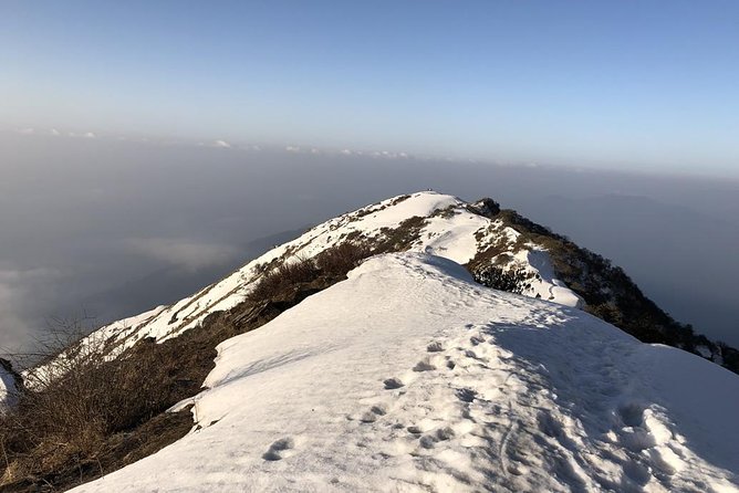 14-Day Private Annapurna Base Camp Trek - The long return to Bamboo