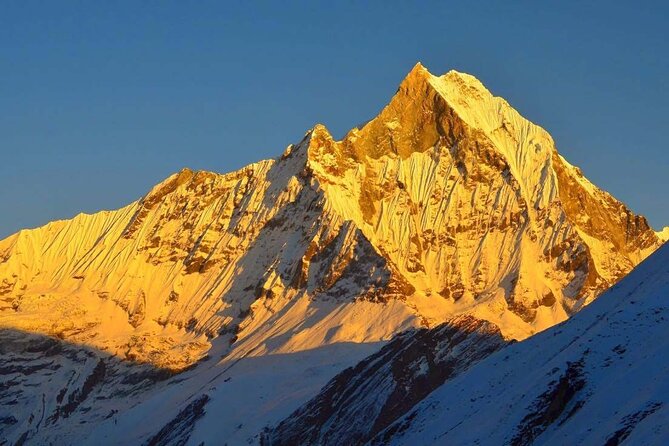 14-Day Private Annapurna Base Camp Trekking and Multi Activity - Day 3: Nayapul to Ulleri