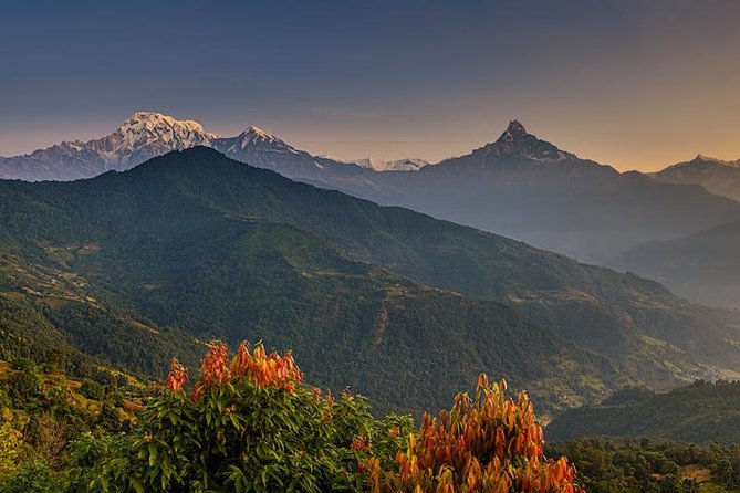 14 days Annapurna Base Camp Trek - Descending through Bamboo to Jhinu