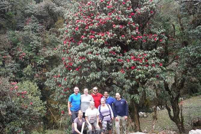 14 Days Luxury Annapurna Base Camp Trek - Day 7: Dovan to Deurali through quieter country