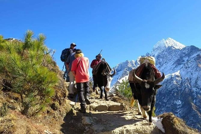 14 Days of Adventure Trekking to Everest Base Camp - Namche’s rest day brings museum views and Khumjung