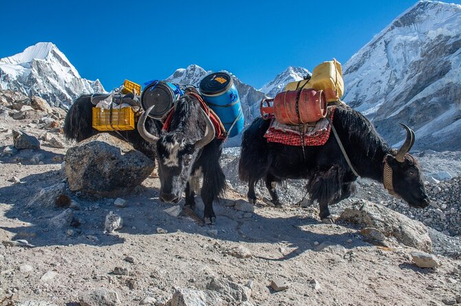 14 Days Private Tour Everest Base Camp Trek - Day 4: Acclimatization in Namche