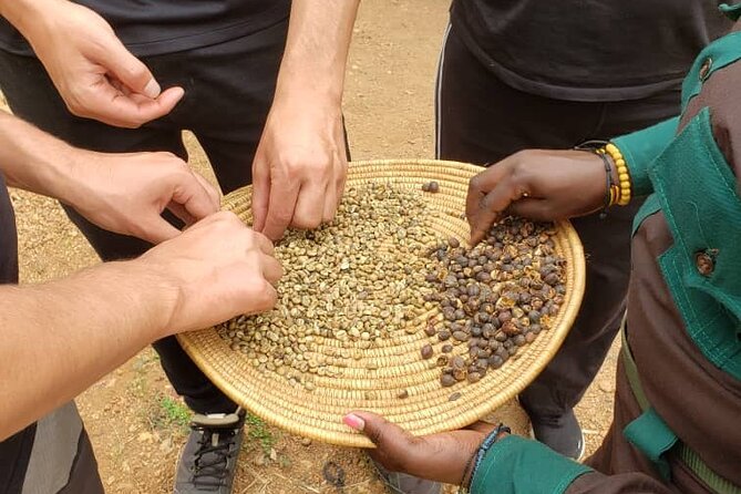 15-Day Gorilla and chimps Trekking, Big 5 and Nature Sighting Safari - Days 12 and 13: Batwa culture and Lake Bunyonyi