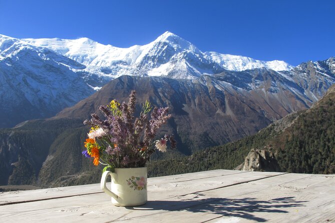 15-Day Private Annapurna Circuit Trek from Kathmandu - Day 7: the acclimatization day you should not skip
