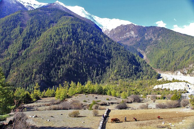 15 Days Round Annapurna Trek with Poon Hill from Pokhara - Day 1: Kathmandu arrival and a practical start