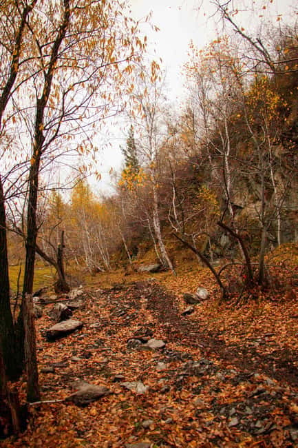 2 Day Horse trekking in Terelj national park - Aryabal Monastery and a quieter side of the park