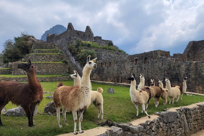 2-Day Inca Trail To Machu Picchu - Why the Short Inca Trail works so well