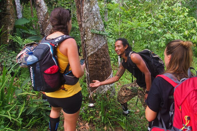 2-Day Jungle Trekking & Rafting in North Sumatra - Walking into Gunung Leuser at 9 a.m.
