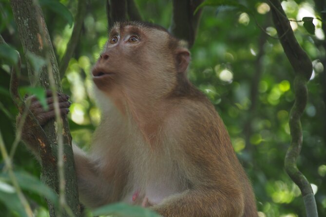 2-Day Jungle Trekking & Rafting in North Sumatra - Meals, water, and camping gear included