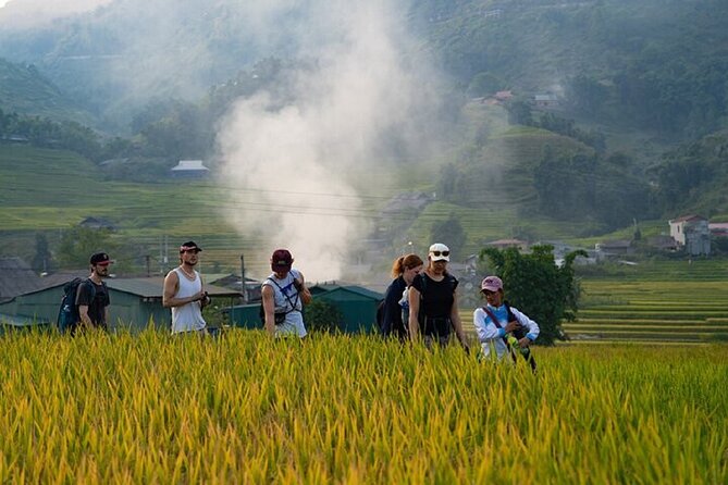 2-Day SAPA Trekking - Villages-Homestay-Ethnic-Local Food-Market - A shorter second day through bamboo forest