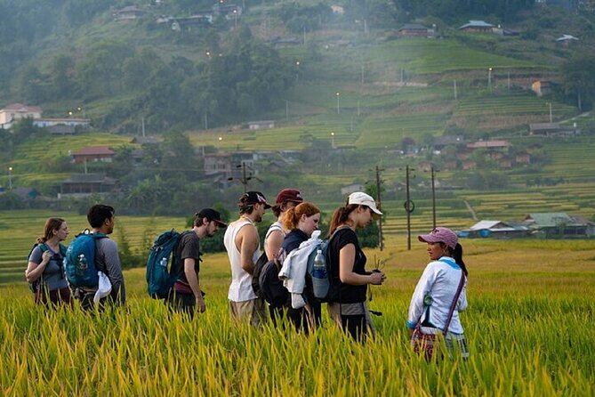 2-Day SAPA Trekking - Villages-Homestay-Ethnic-Local Food-Market - Who should book this Sapa trek?