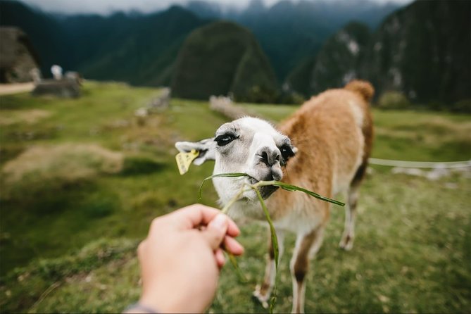 2-Day Short Inca Trail to Machu Picchu - Transport, tickets, and what the $680 price buys