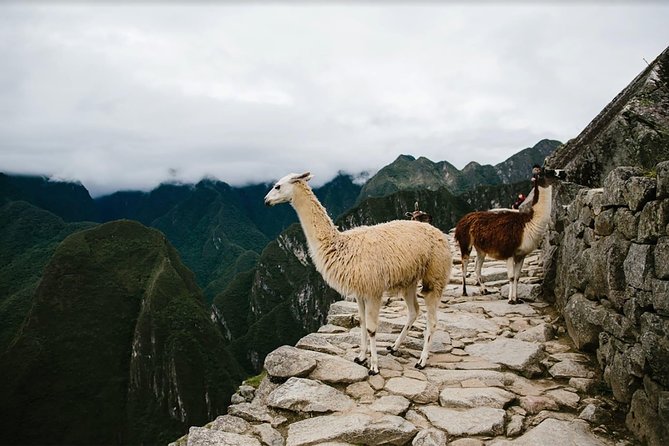 2-Day Short Inca Trail to Machu Picchu - The guides are the main strength