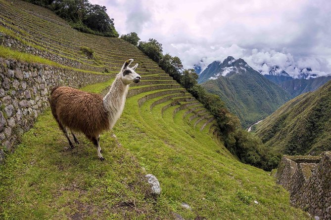 2-Day Short Inca Trail to Machu Picchu - Who should book this two-day route