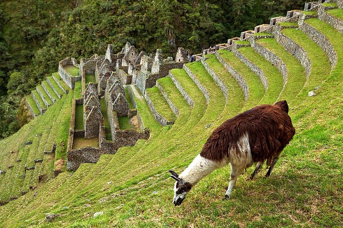 2 Day - Short Inca Trail to Machu Picchu - Group Service - The four-hour hike to Wiñay Wayna