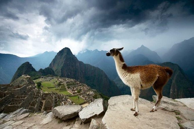 2-Day Short Inca Trail to Machu Picchu - Day one: train to Km 104 and the climb to Wiñay Wayna