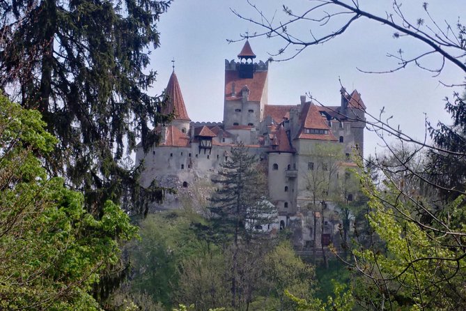 2-Day Transylvania Culture Trek from Brasov - Small Group Tour - Key things to know before booking
