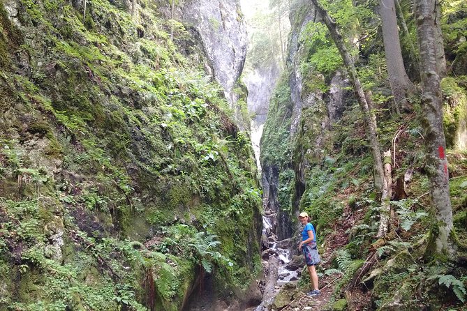 2-Day Transylvania Culture Trek from Brasov - Small Group Tour - A demanding day in Piatra Craiului National Park