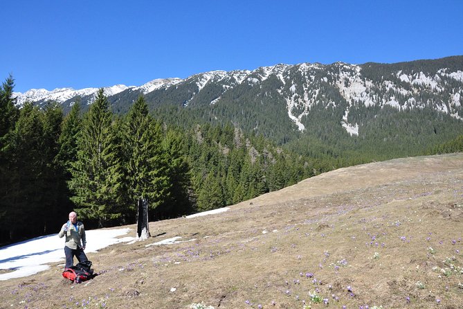 2-Day Transylvania Culture Trek from Brasov - Small Group Tour - Guides, group size, and transport from Brasov