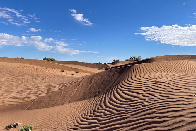 2-day trek - In the footsteps of beetles - Key points before you book