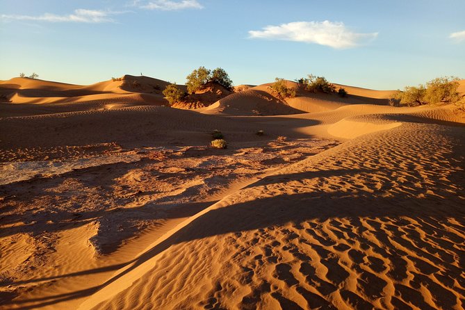 2-day trek - In the footsteps of beetles - Who will enjoy this trek most