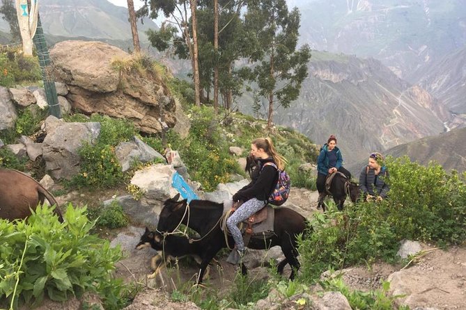 2 Day Trek Including Transfer to Puno / Colca Canyon - Sangalle, warm pools, and a basic night