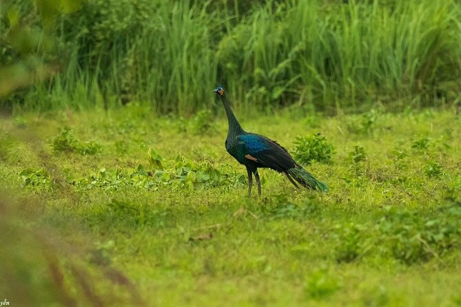 2-Day Trekking & Biking Nam Cat Tien National Park from HCM City - Who Will Enjoy This Two-Day Park Trip