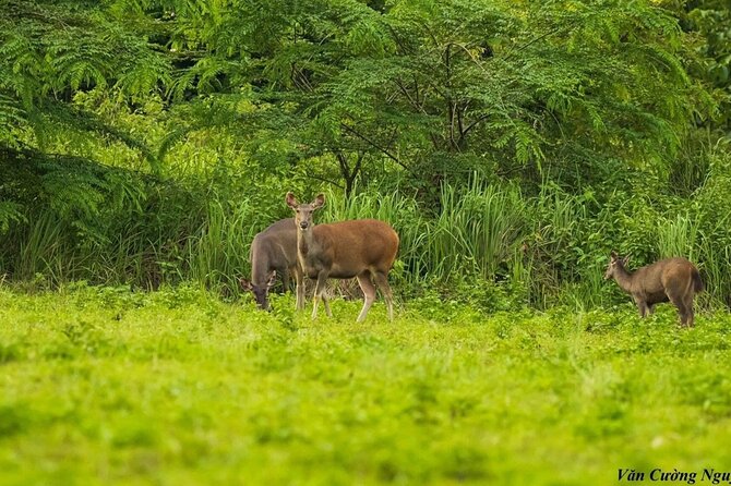 2-Day Trekking & Biking Nam Cat Tien National Park from HCM City - Should You Book the Cat Tien Trek and Bike Tour?