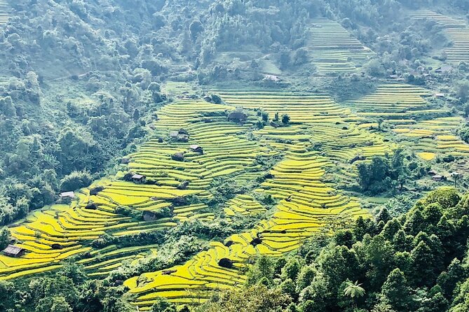 2-Day Trekking in Sa Pa from Ha Noi by sleeping bus - Lao Chai and the Muong Hoa Valley