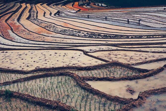 2-Day Trekking in Sa Pa from Ha Noi by sleeping bus - Ta Van village and the overnight homestay