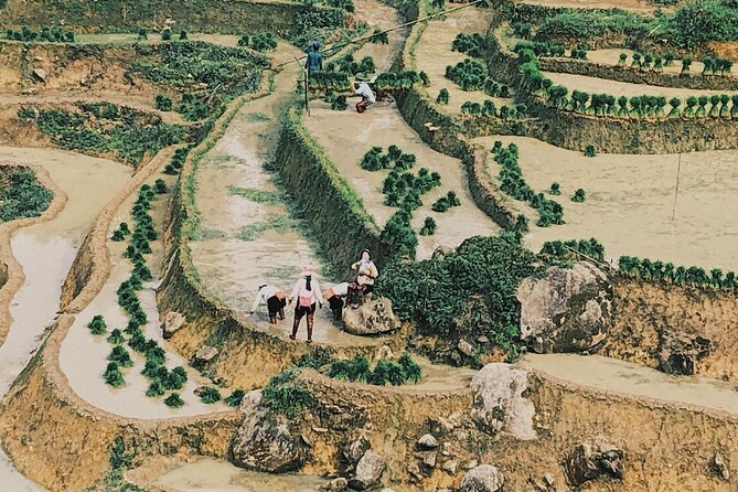 2-Day Trekking in Sa Pa from Ha Noi by sleeping bus - Bamboo forest, Giang Ta Chai, and Su Pan