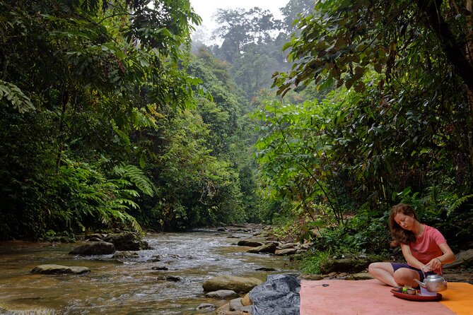 2 Days 1 Night Ethical Jungle Trekking - The riverside camp and included meals